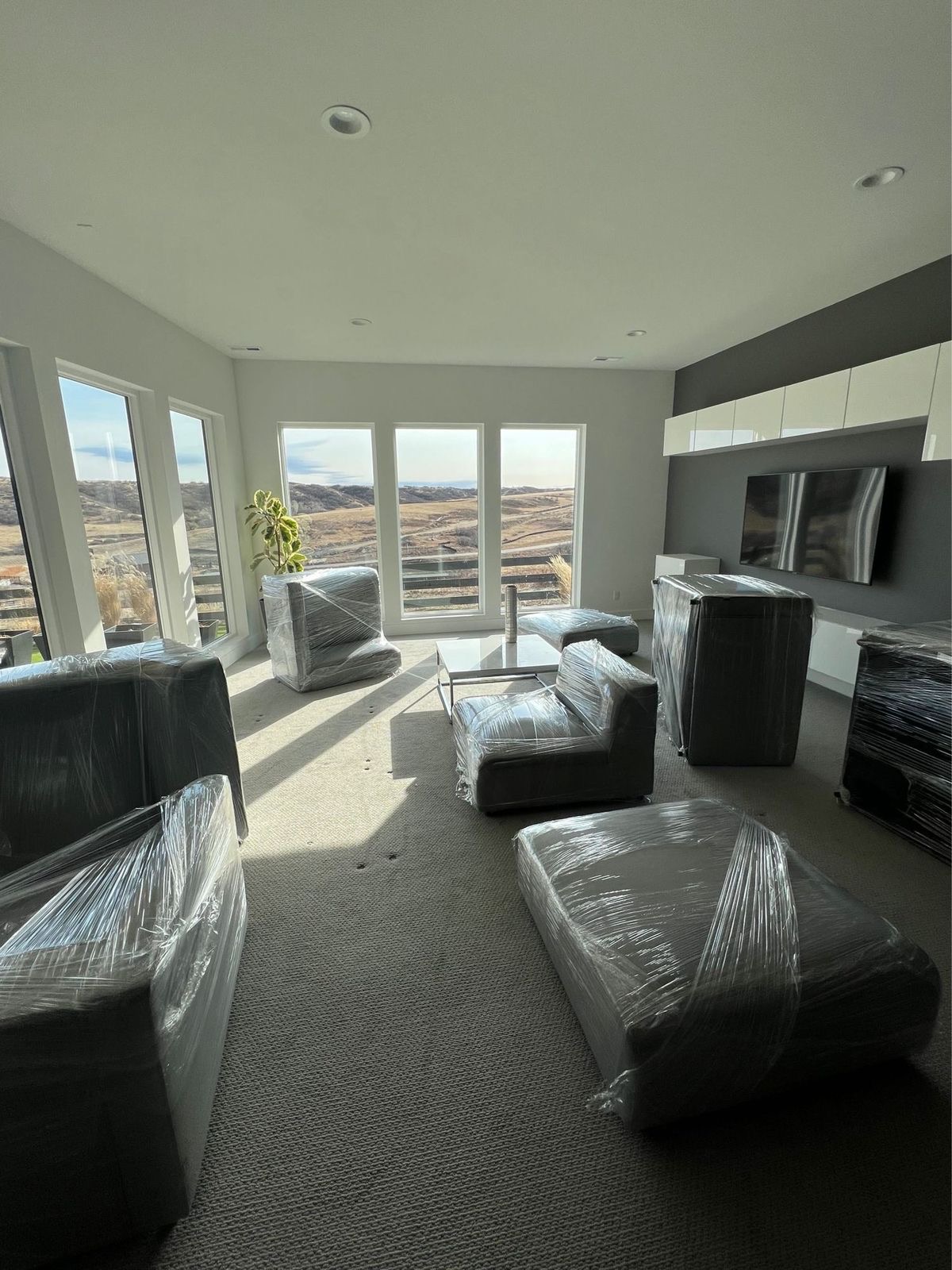 Our Gallery